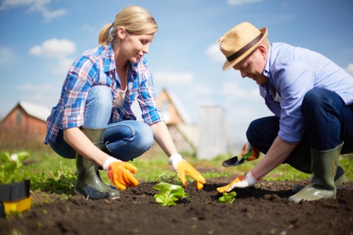 Request a quotation for gardening services in Colindale