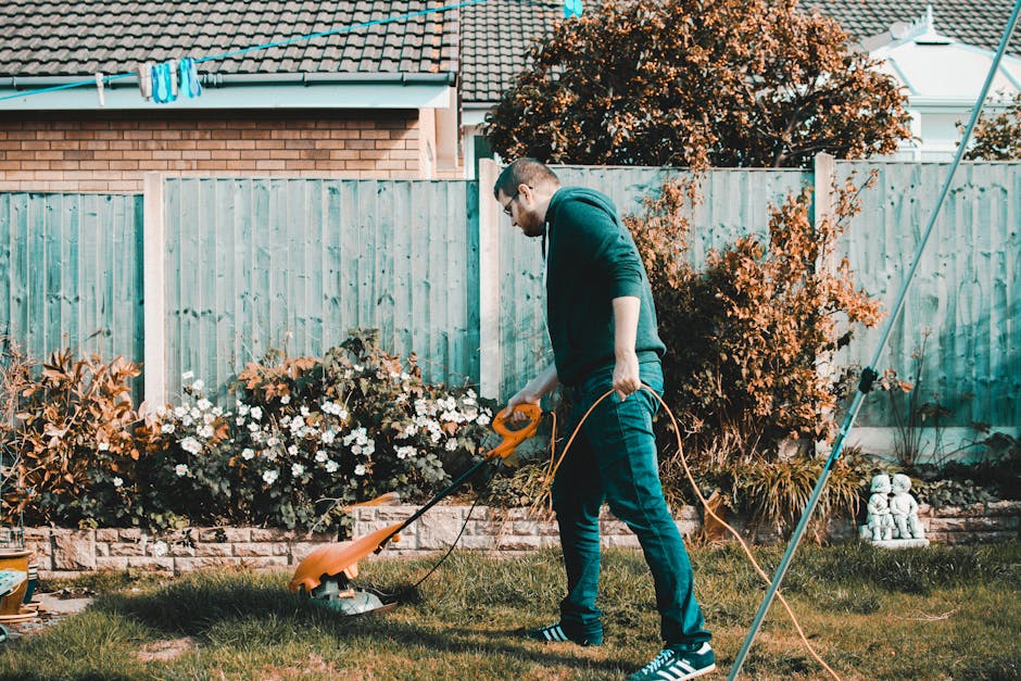 A gardener using hedge shears to trim a dense, well-maintained shrub with small, glossy green leaves, situated along a garden border. The hedge forms a neat, vertical boundary between the lawn and the